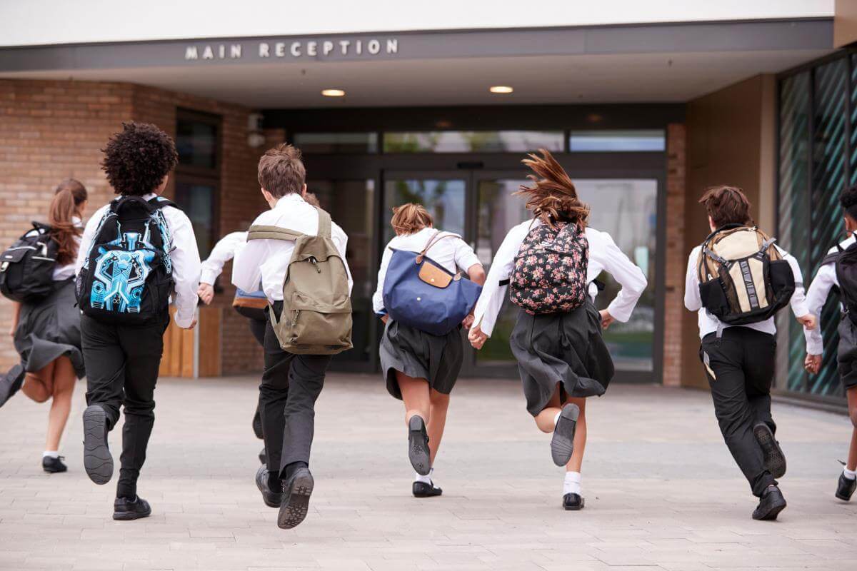 NEW Devon attendance network (online)