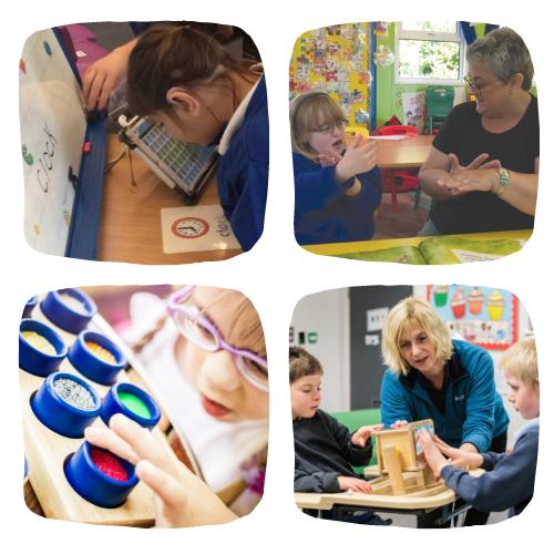 Support inclusion, equity and positive outcomes for all learners.
