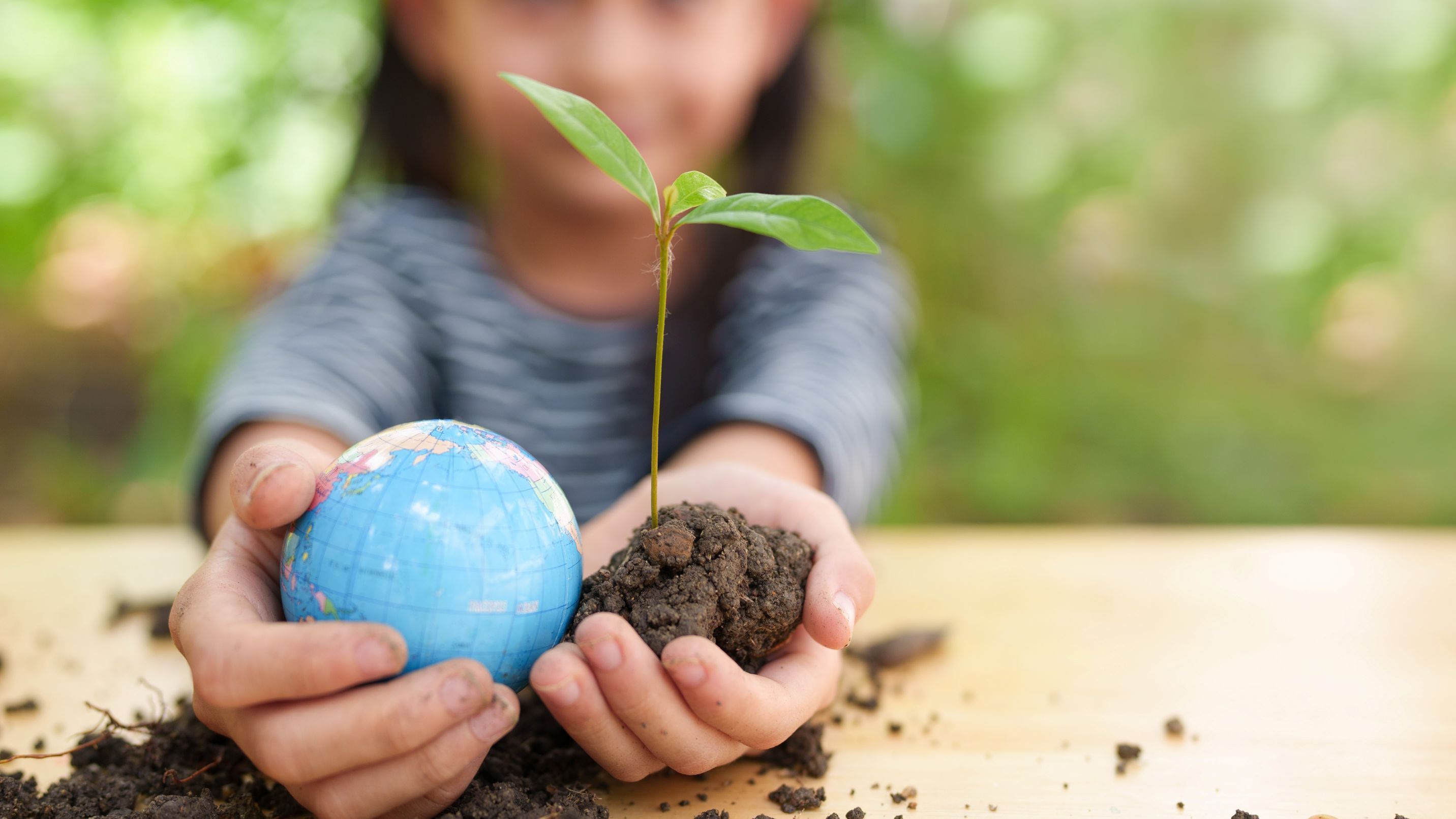Climate Action Plan (CAP)