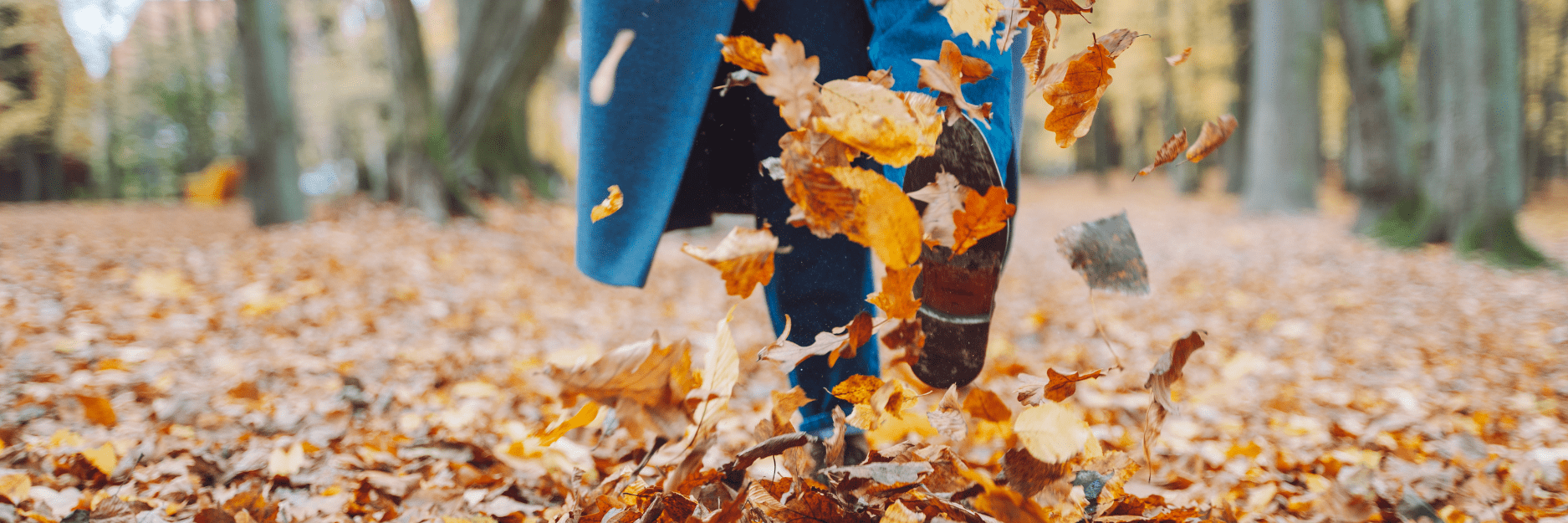 Close up of a woman wearing a long blue and walking through fallen autumnal leaves in a forest