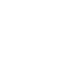 image.