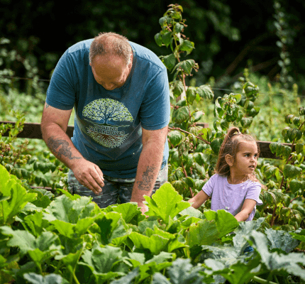In Bloom 2025 winner tends to vegetables whilst a young girl helps