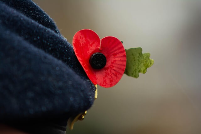 A beret with a red Remembrance poppy attached