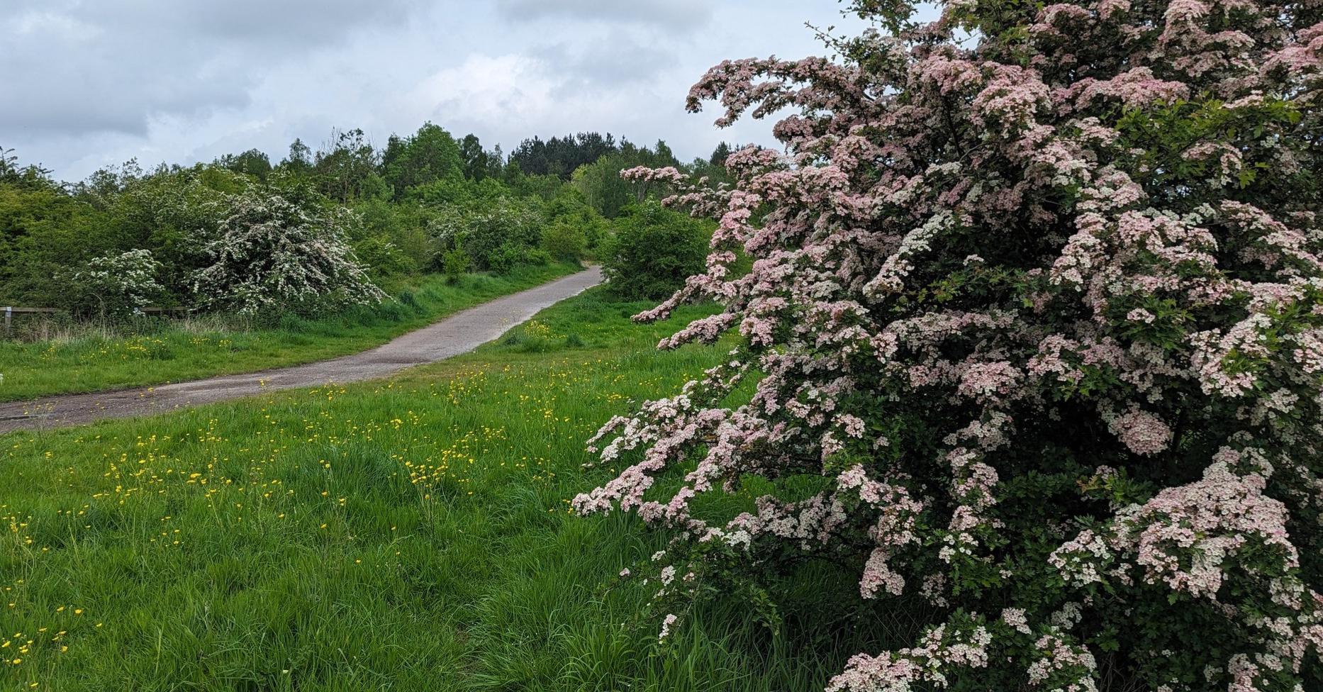 Leicestershire County Park image