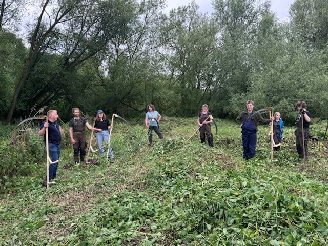 image.