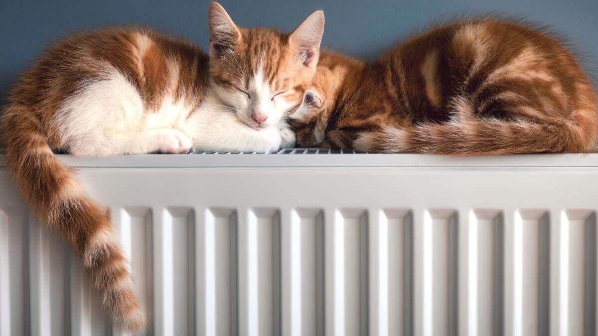 Clothes staked on shelves picture