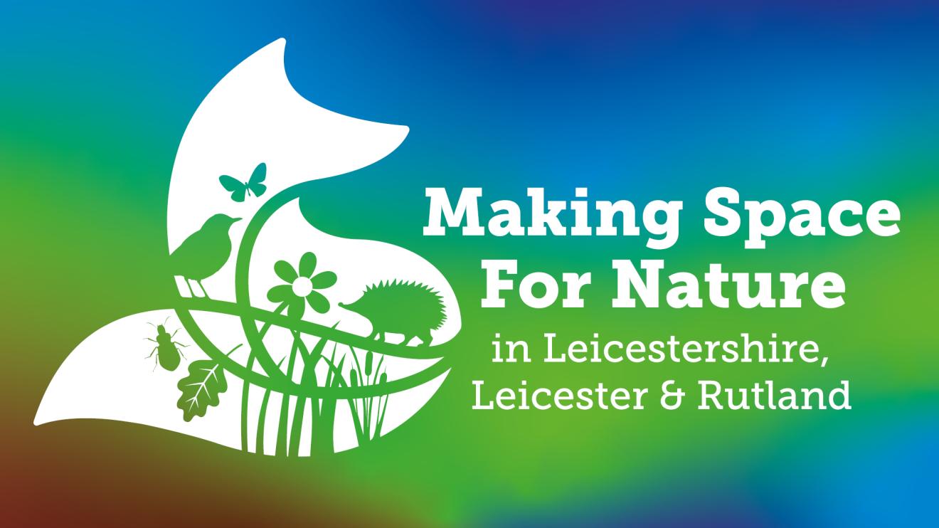 Making Space for Nature in Leicestershire, Liecester & Rutland Leicestershire County Council image