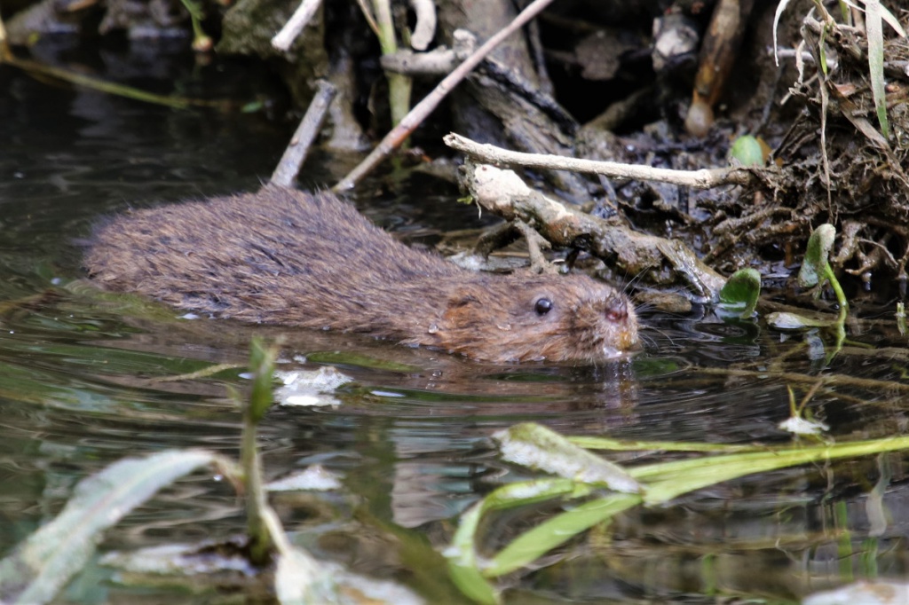 Charnwood Eco Hub image