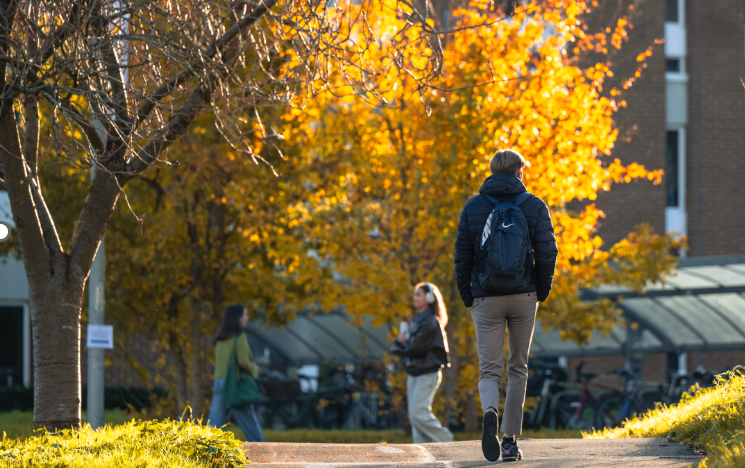 People enjoying Pride
