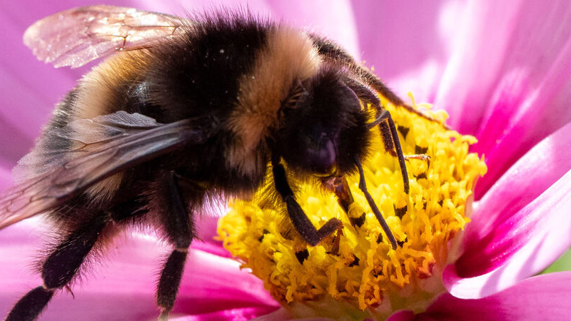 welcome week welcome week