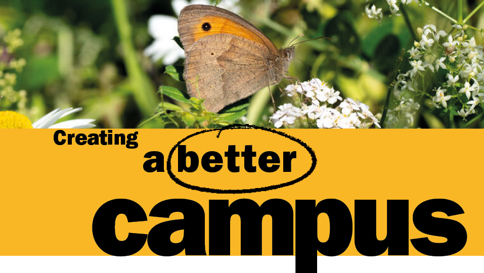 This is a section header image. It shows a photo of a butterfly on some wildflowers. Underneath is the text 'Creating a better campus' on a yellow background. 