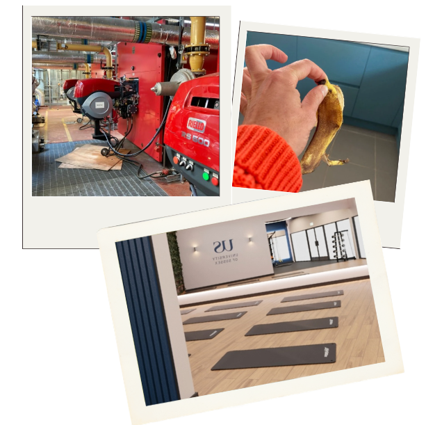 Three polaroid templates showing different images: 1) a district heating network, 2) a hand holding a banana peel, 3) an artist concept for the new fitness studio.