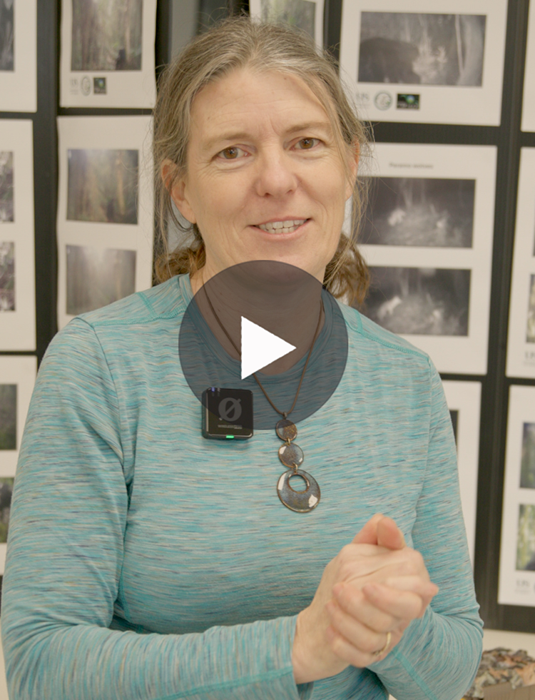 Video thumbnail showing a white play button in the centre. Behind it, Professor Fiona Mathews stands in front of a wall of developed wildlife photographs.