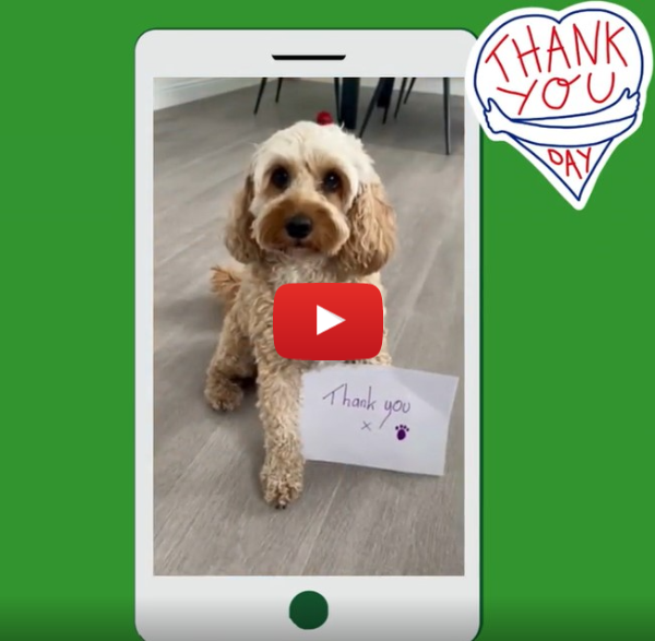 A special thank you on Thank You Day 2024 A special thank you on Thank You Day 2024